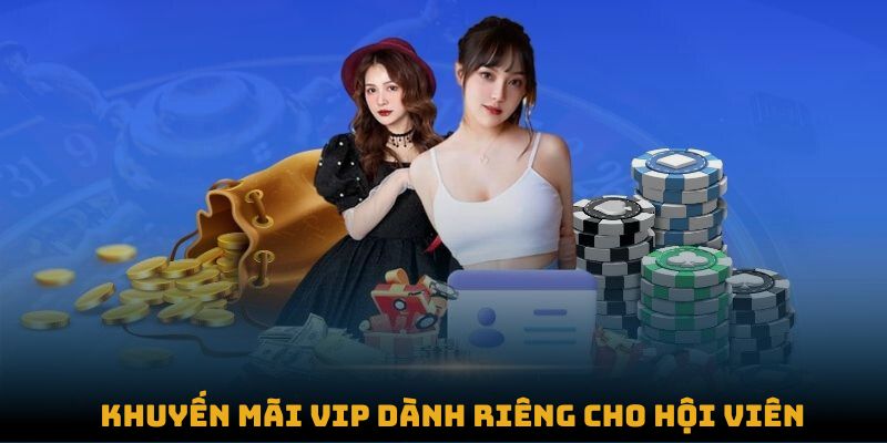 Khuyến mãi VIP dành riêng cho hội viên