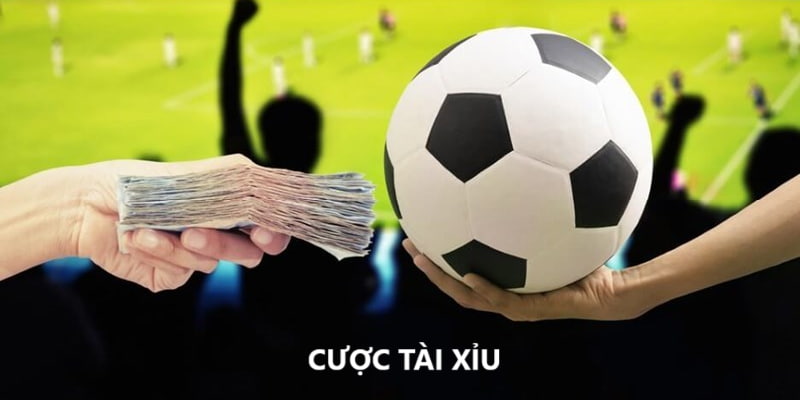 Tìm hiểu cược Tài Xỉu